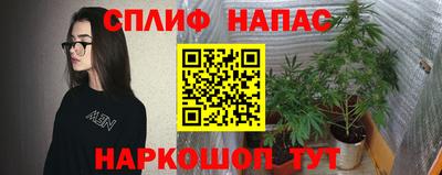 молекула духа Новокубанск