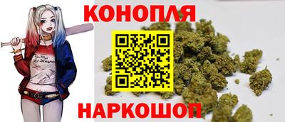 дмт Новозыбков