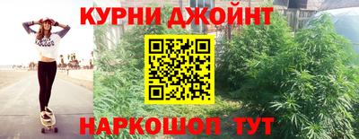 дмт Новозыбков