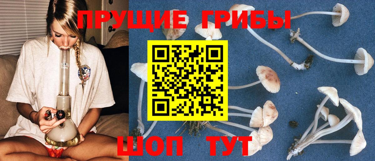 Галлюциногенные грибы Magic Shrooms  Галлюциногенные грибы Psilocybine cubensis  Сокол  Вход с VPN 