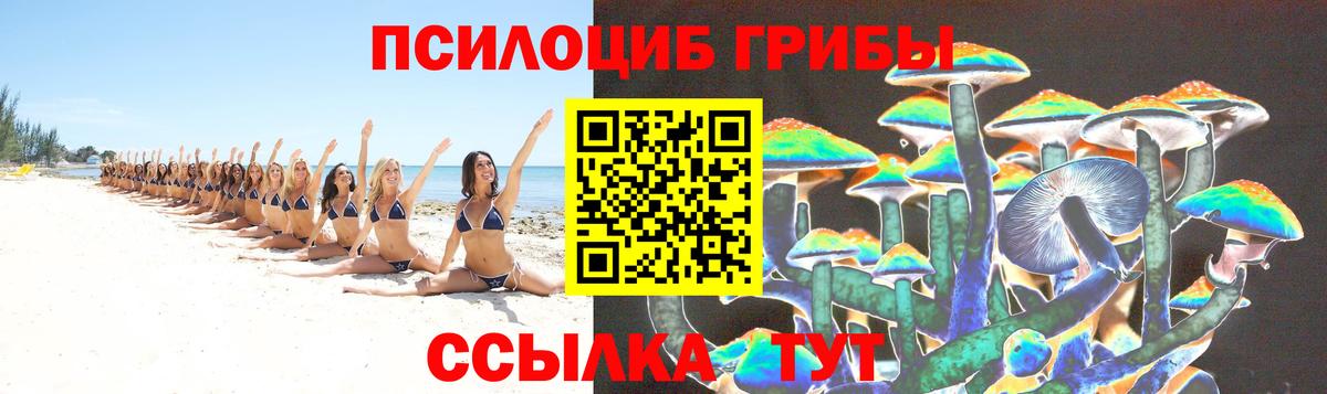 Галлюциногенные грибы Cubensis Сокол